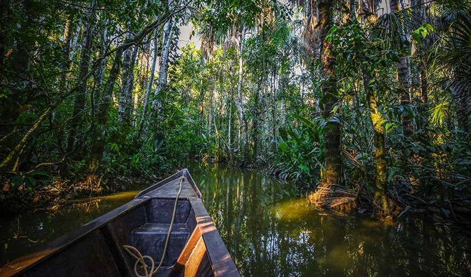 Puerto Maldonado Amazon Budget Eco-Lodge 3D/2N - Bamba - Peru - Image 5