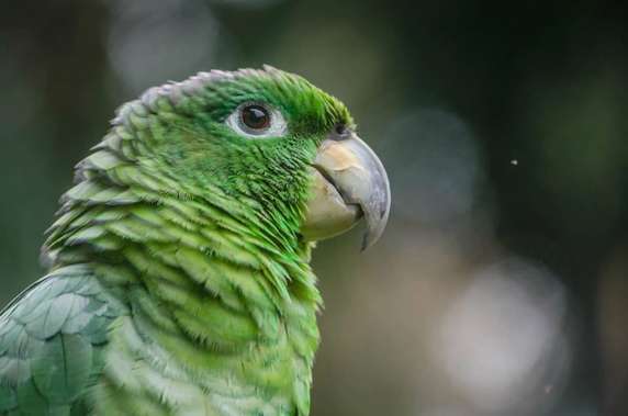 Image 4 of 5