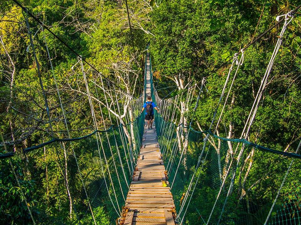 Puerto Maldonado Amazon Budget Eco-Lodge 6D/5N (from Cuzco) - Bamba - Peru - Image 1