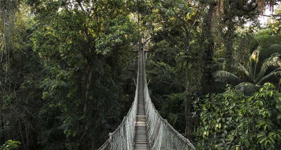 Puerto Maldonado Amazon Budget Eco-Lodge 6D/5N (from Cuzco) - Bamba - Peru - Image 3