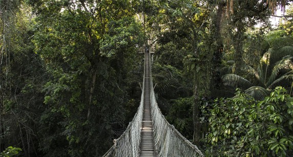 Image 3 of 5
