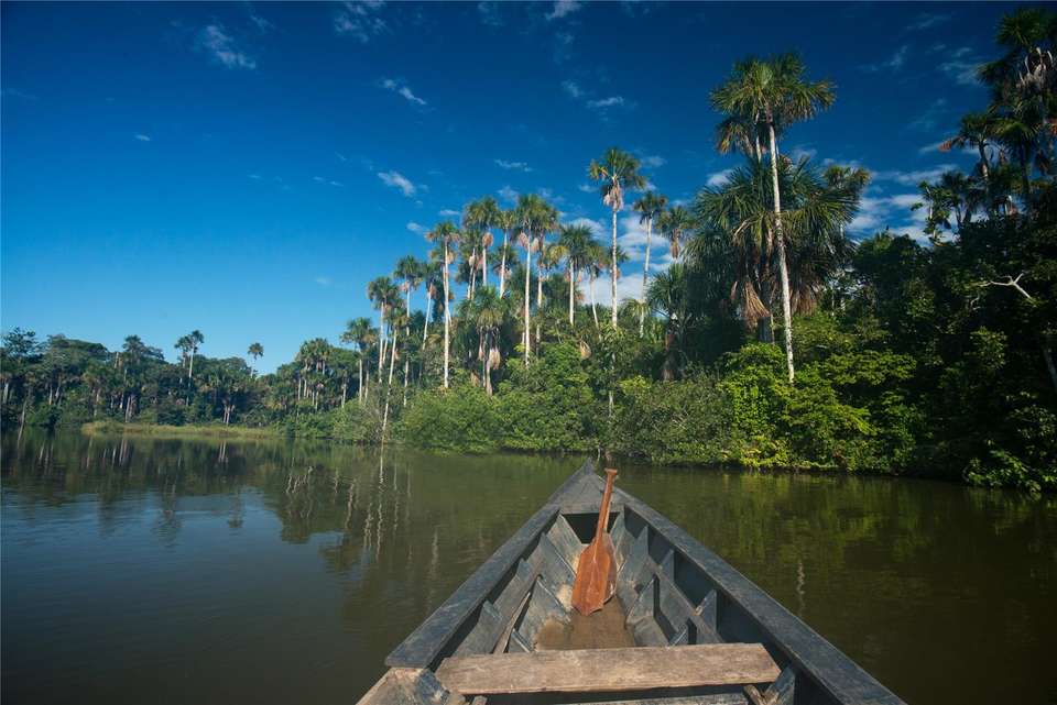 Puerto Maldonado Amazon Budget Eco-Lodge 6D/5N (from Cuzco) - Bamba - Peru - Image 5