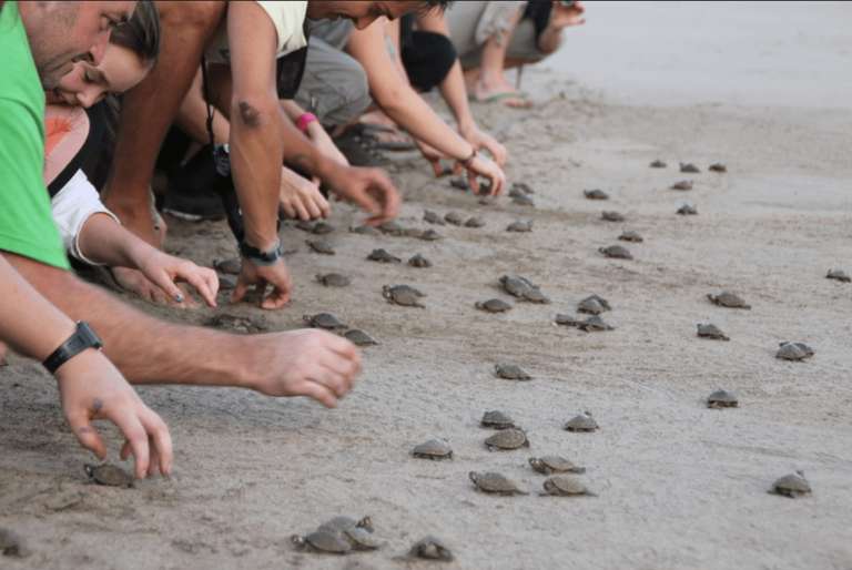Puerto Maldonado Amazon Eco-Lodge 4D/3N (from Puerto Maldonado) trip - alternative tour available