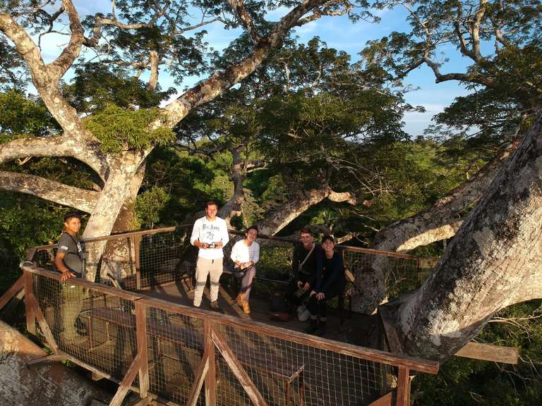 Puerto Maldonado Amazon Eco-Lodge 5D/4N (from Cuzco) trip - alternative tour available