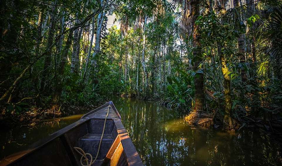Puerto Maldonado Amazon Eco-Lodge 5D/4N (from Puerto Maldonado) - Bamba - Peru - Image 2