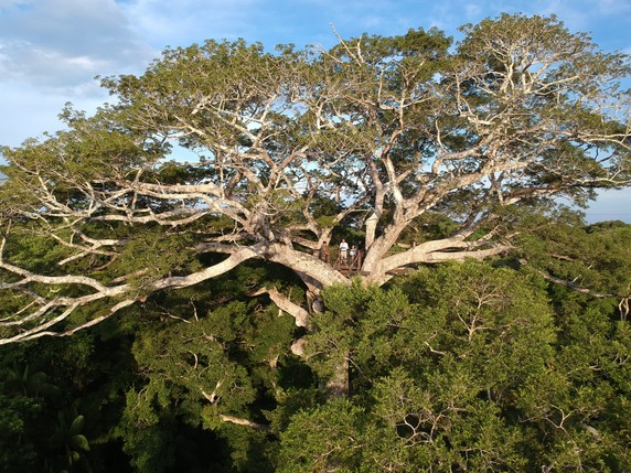 Image 5 of 5
