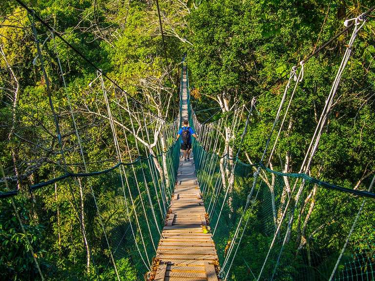 Puerto Maldonado Amazon Eco-Lodge 6D/5N (from Cuzco) trip - alternative tour available