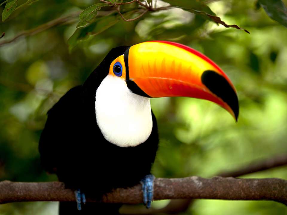 Puerto Maldonado Amazon Explorer - 5 days - On The Go Tours - Peru - Image 3