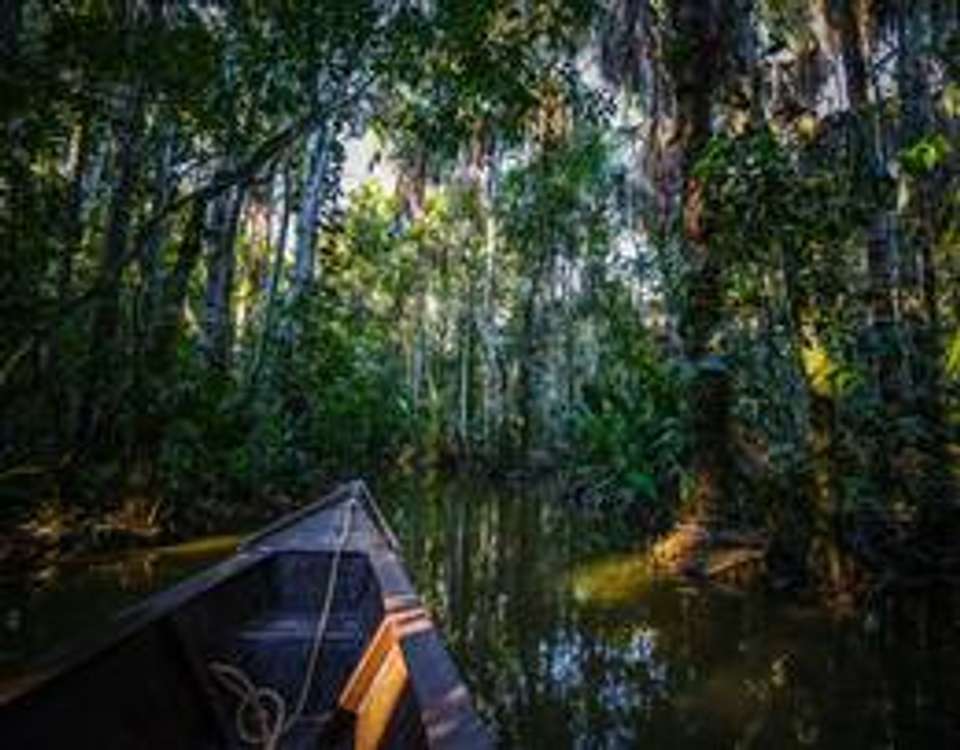Puerto Maldonado Amazon Explorer - 5 days - On The Go Tours - Peru - Image 6