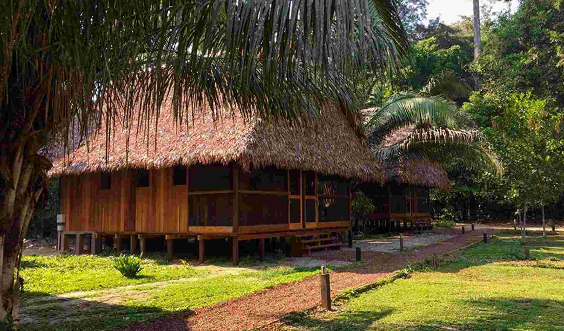Puerto Maldonado Amazon Field Station 5D/4N (from Puerto Maldonado)
