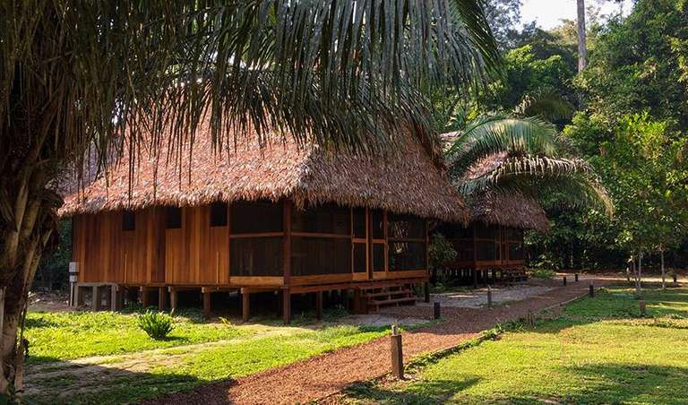 Puerto Maldonado Amazon Field Station 5D/4N (from Puerto Maldonado) trip - alternative tour available
