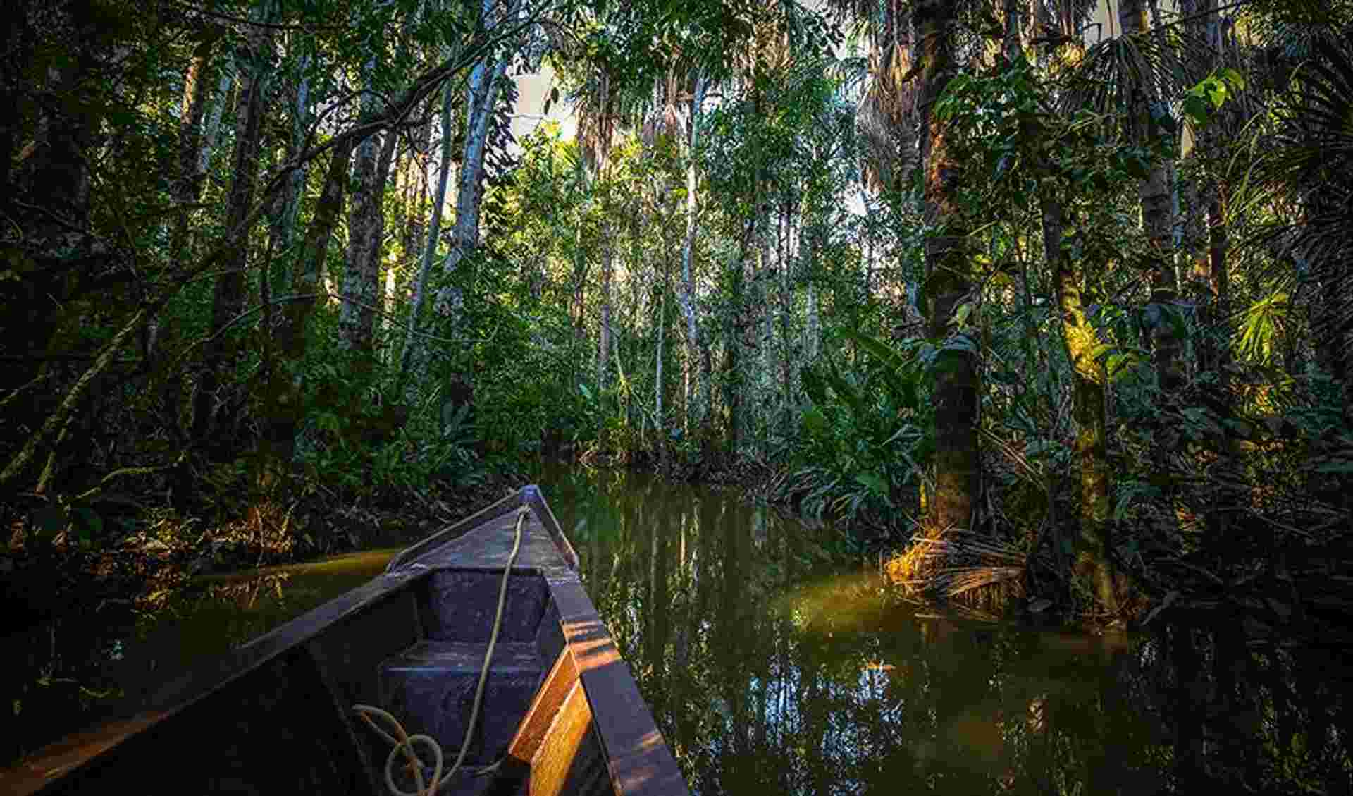 Puerto Maldonado Amazon Superior Lodge 3D/2N (from Puerto Maldonado)