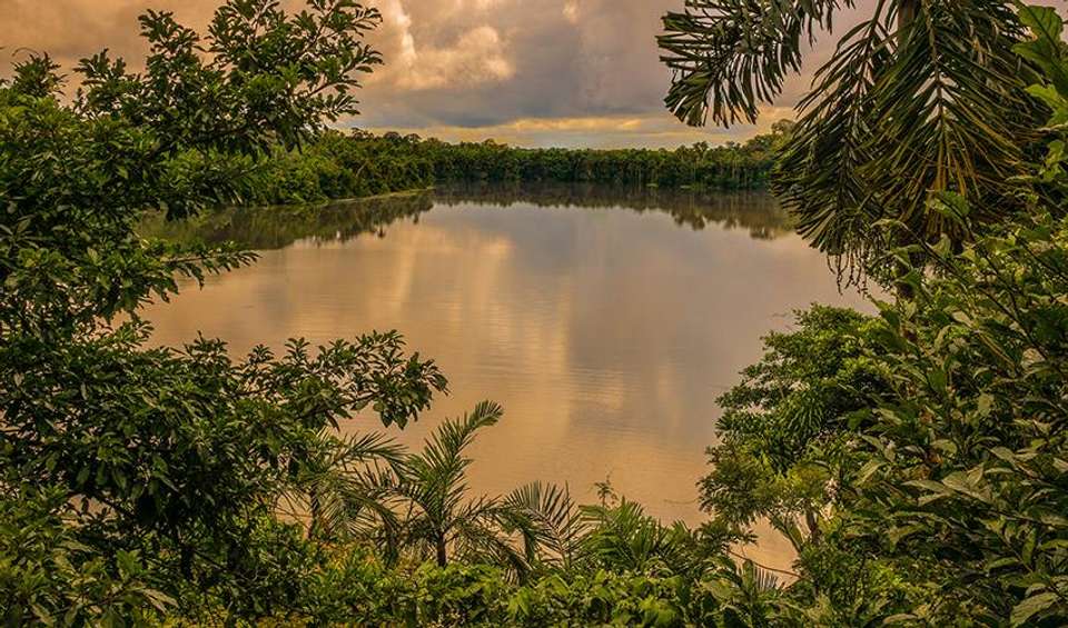 Puerto Maldonado Amazon Superior Lodge 4D/3N (from Puerto Maldonado) - Bamba - Peru - Image 4