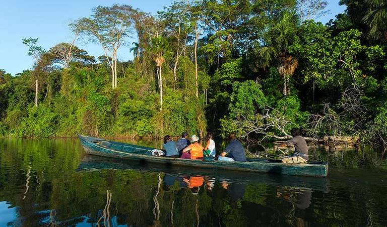 Puerto Maldonado Amazon Superior Lodge 5D/4N (from Puerto Maldonado) trip - alternative tour available