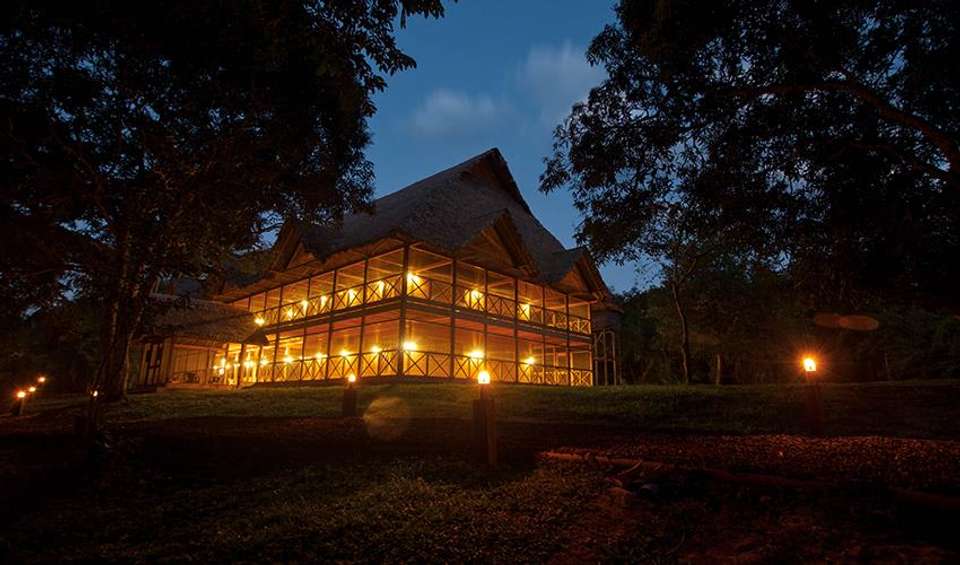 Puerto Maldonado Amazon Superior Lodge 5D/4N (from Puerto Maldonado) - Bamba - Peru - Image 2