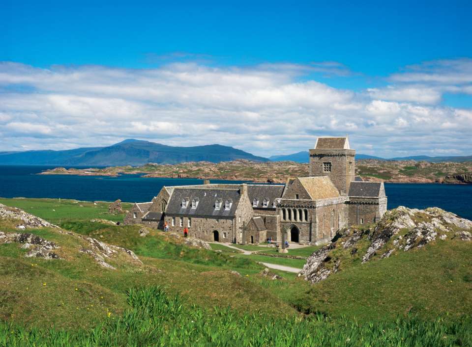 Puffin Island Hopper - Haggis Adventures - Scotland - Image 3