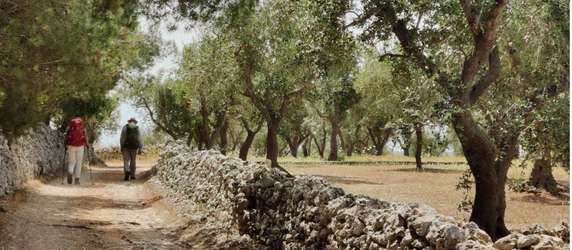Image 4 of 8