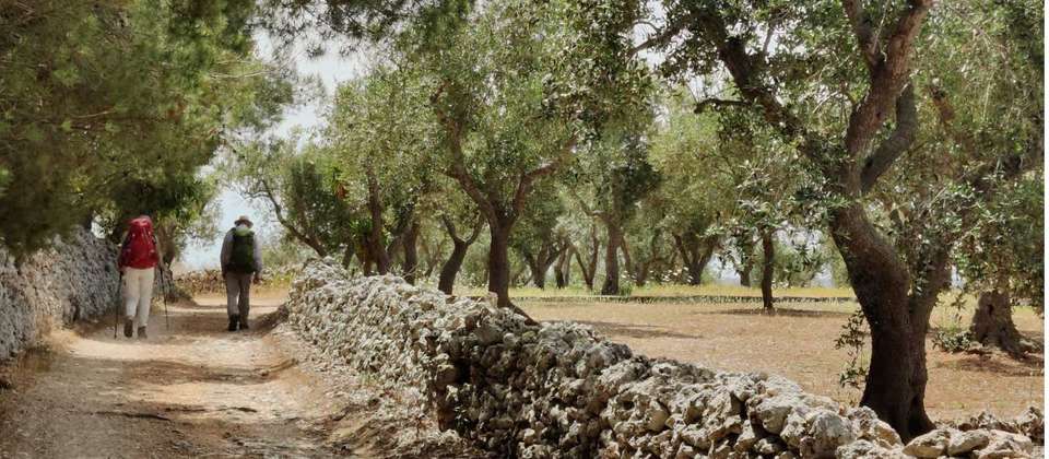Puglia Coastal Walk - Utracks - Italy - Image 4