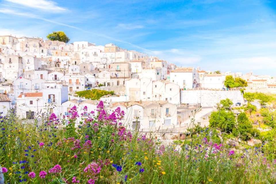 Puglia Panorama - Omega Tours - Italy - Image 3