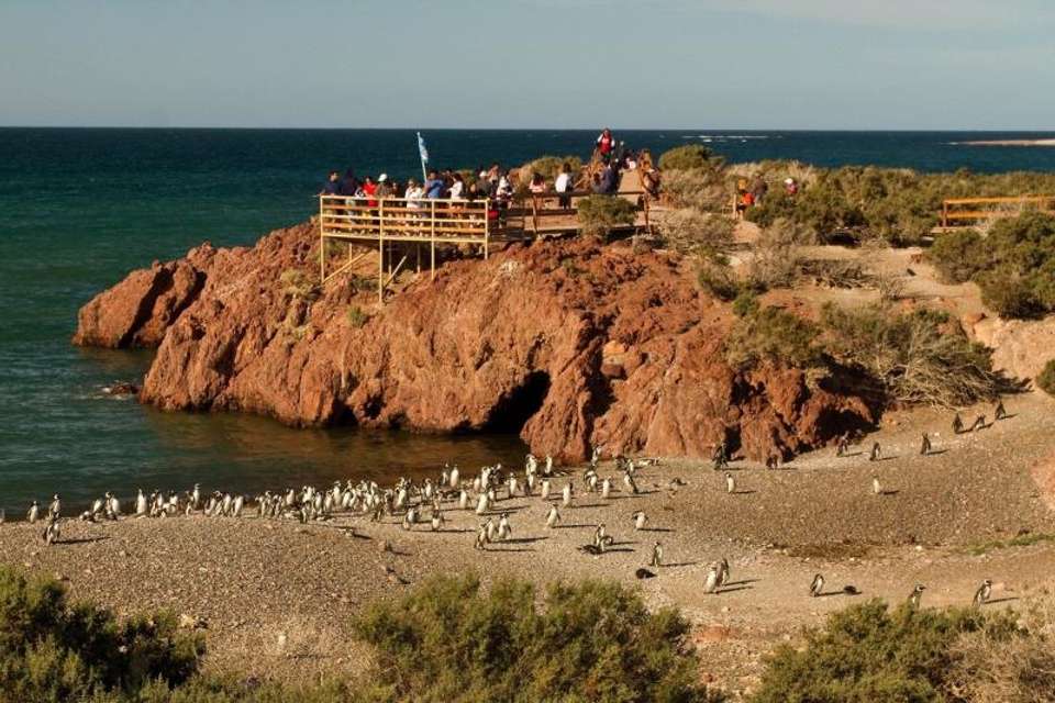 Punta Tombo Penguin Watching and Gaiman Visit from Puerto Madryn - Tangol Tours - Argentina - Image 3