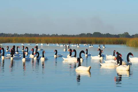 Chile Guided And Escorted Tours: Punucapa Navigation & Natural Sanctuary In Valdivia