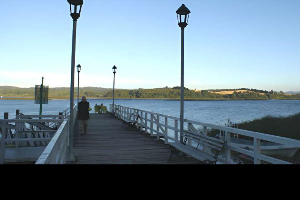 Punucapa Navigation & Natural Sanctuary in Valdivia - Tangol Tours - Chile - Image 3