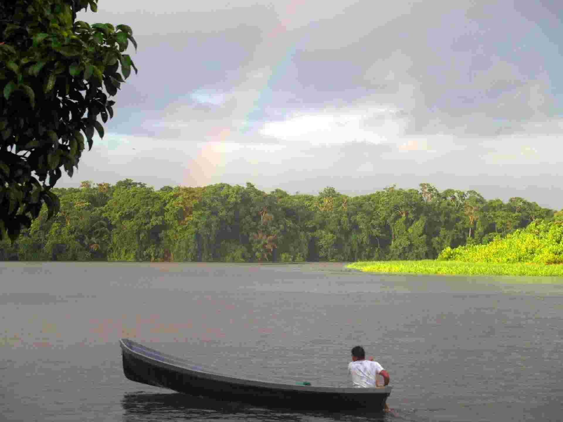 Pura Vida Experience