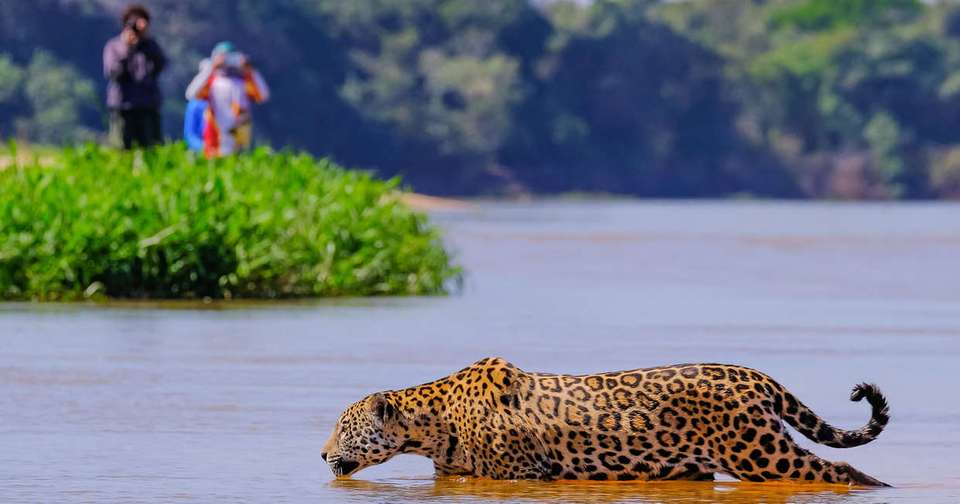 Pure Brazil - Explore - Brazil - Image 17