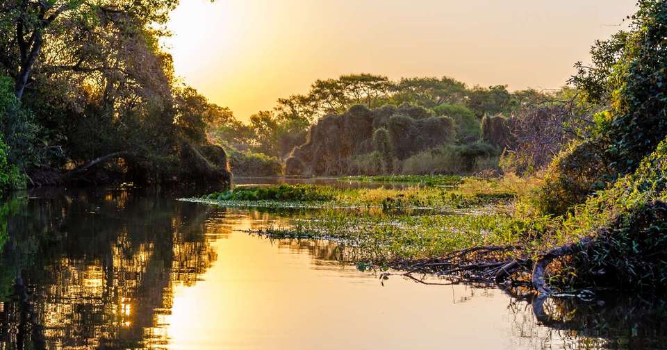 Pure Brazil - Explore - Brazil - Image 8
