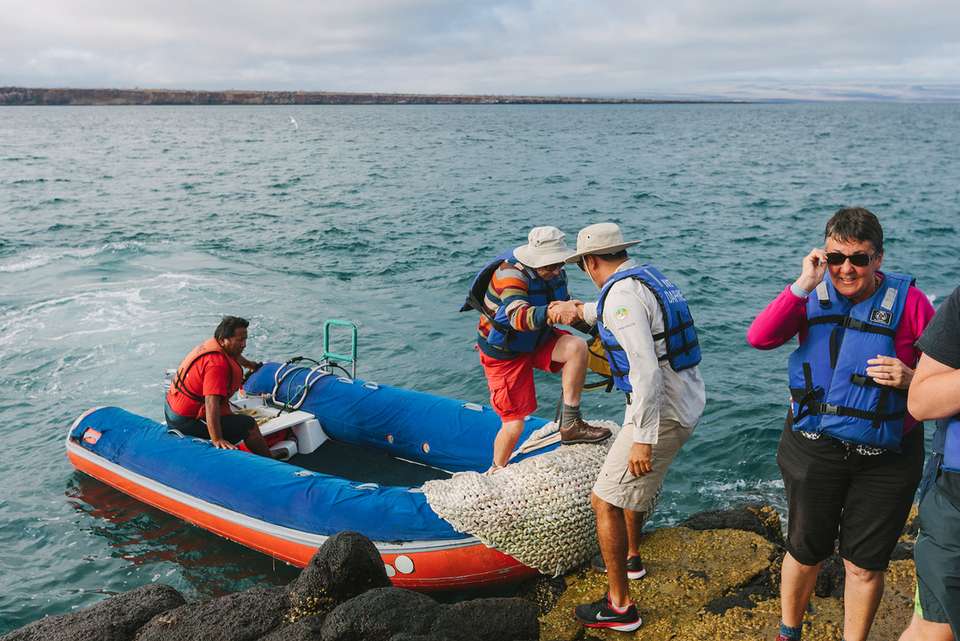 Pure Galapagos (Grand Daphne) - Intrepid Travel - Ecuador - Image 4
