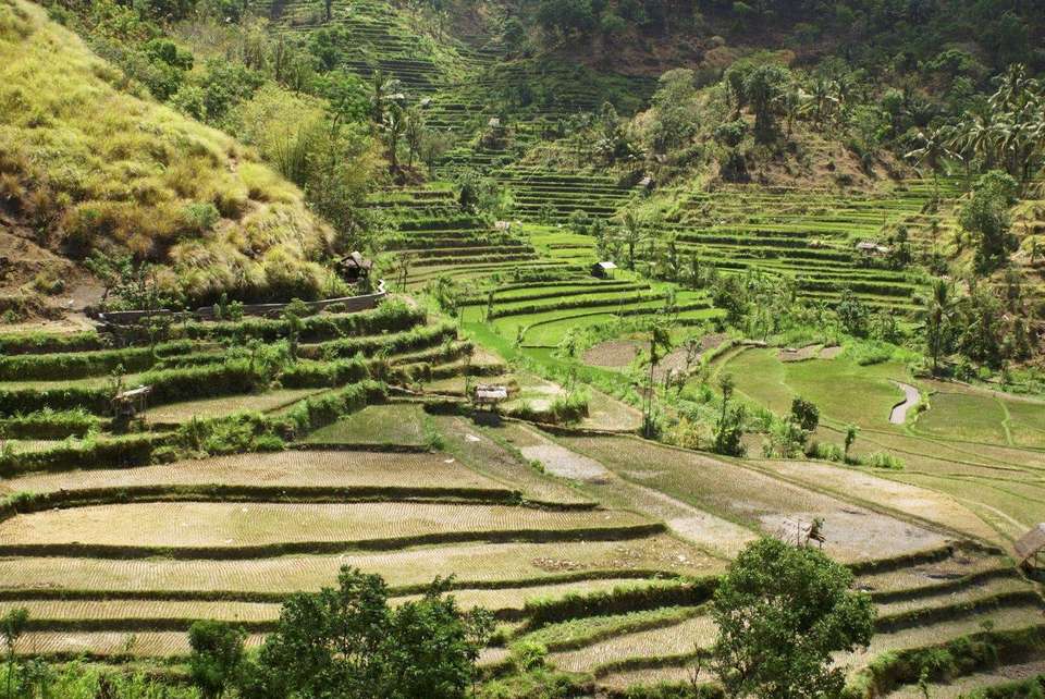 Pure Of Bali, Private Tour - Destination Services - Indonesia - Image 4