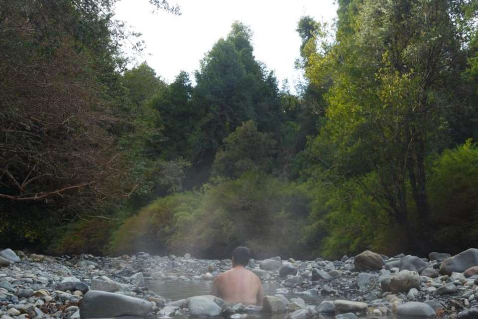 Puyehue NP & Aguas Calientes Hot Springs - Tangol Tours - Chile - Image 2