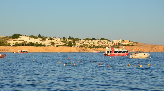 Image 2 of 3