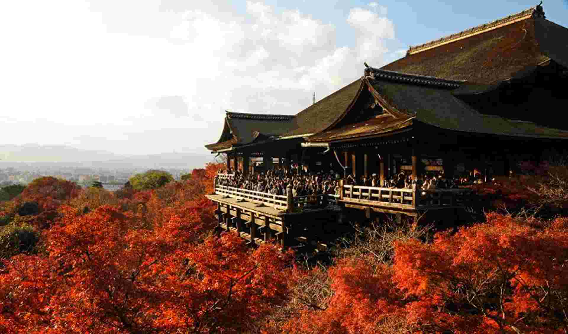 Quick Japan Explorer 5D/4N