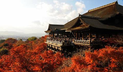 Tokyo Cultural, Religious And Historic Sites Tour: Quick Japan Explorer 5d/4n