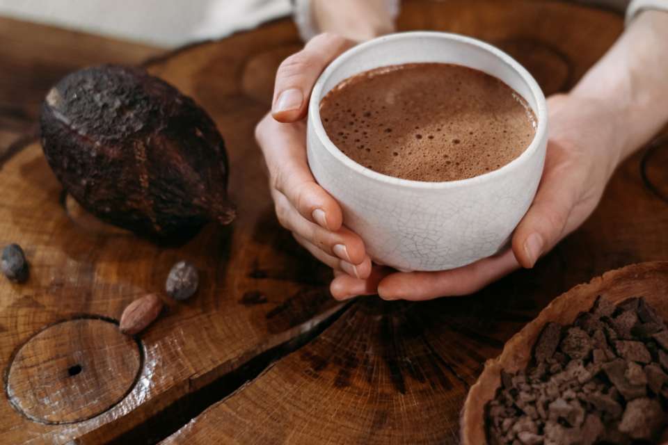 Quindío Chocolate Tour with Tastings & Guide - Tangol Tours - Colombia - Image 1