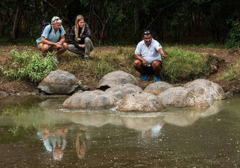 Experienced Travelers Trips: Quito And Galapagos Adventure