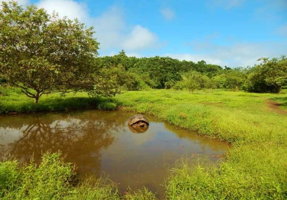 Quito And Galapagos Adventure - Indus Travels - Ecuador - Image 7