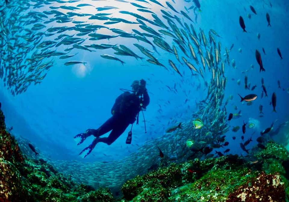 Quito And Galapagos Adventure - Indus Travels - Ecuador - Image 9