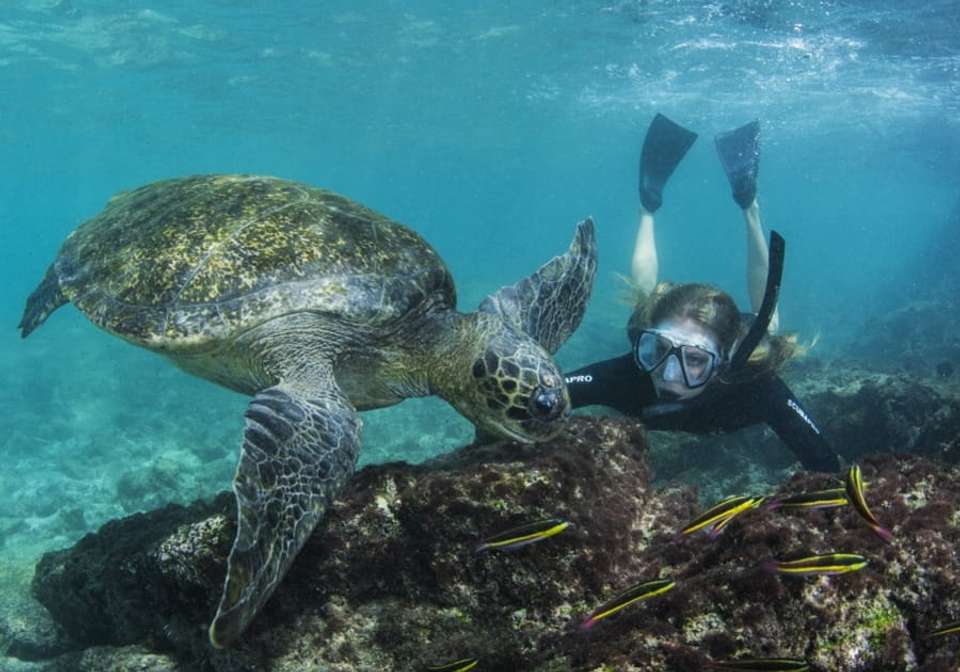 Quito And Galapagos Adventure - Indus Travels - Ecuador - Image 10