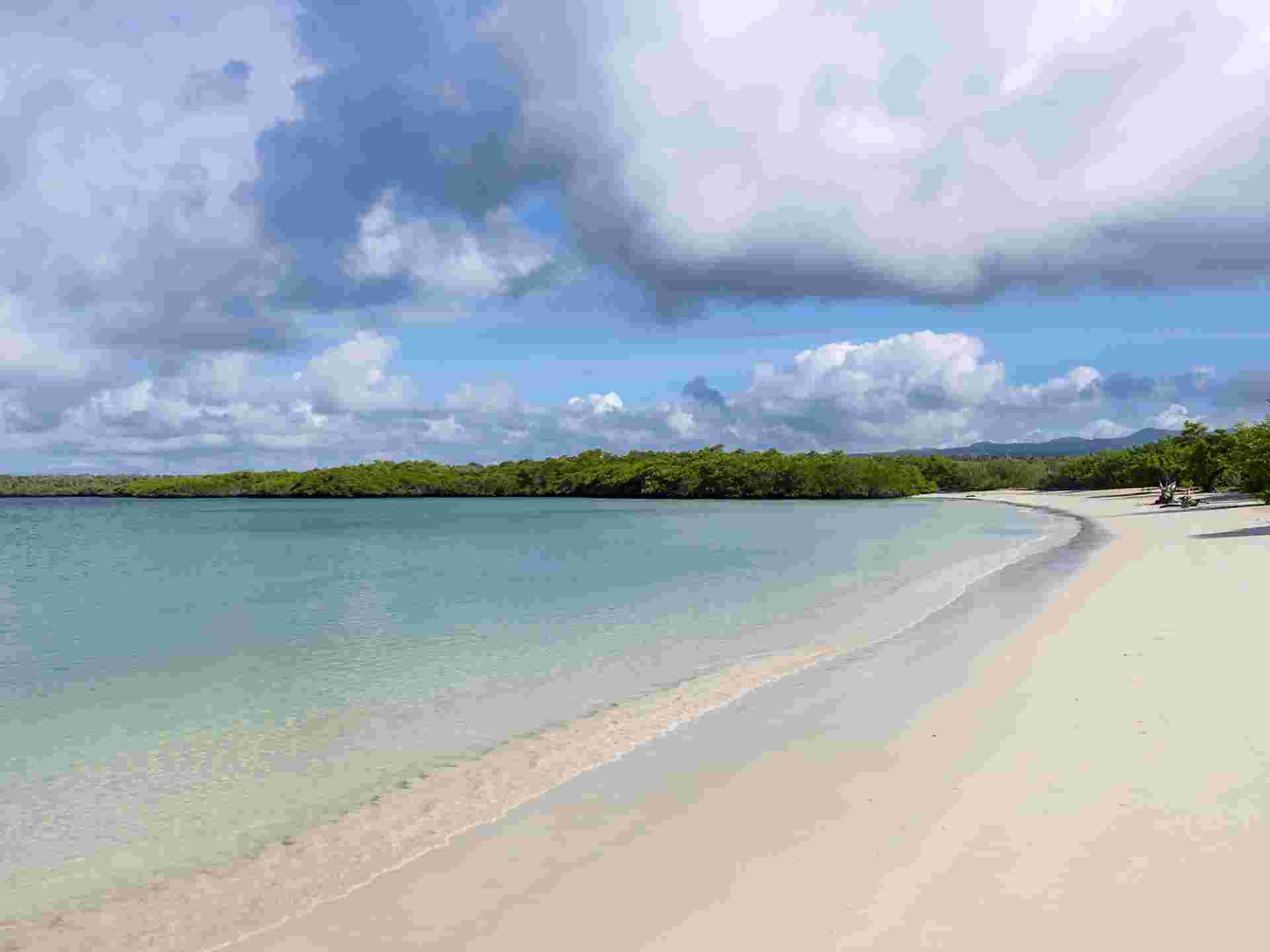 Quito & Galapagos Cruise - 7 days
