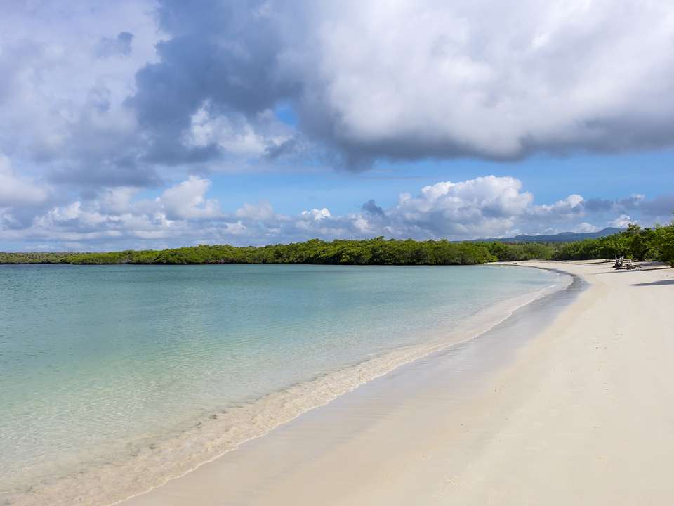 Quito & Galapagos Cruise - 7 days - On The Go Tours - Ecuador - Image 1