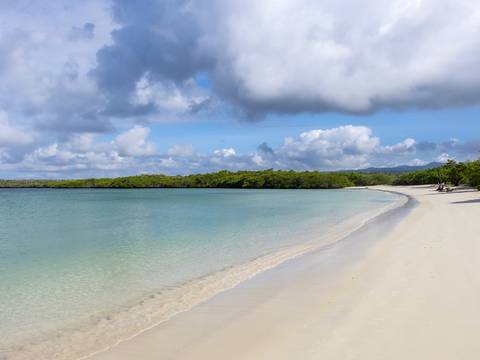 Quito & Galapagos Cruise - 7 Days - September 2026