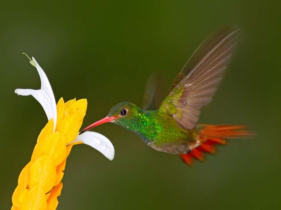 Quito & Galapagos Cruise - 7 days - On The Go Tours - Ecuador - Image 3