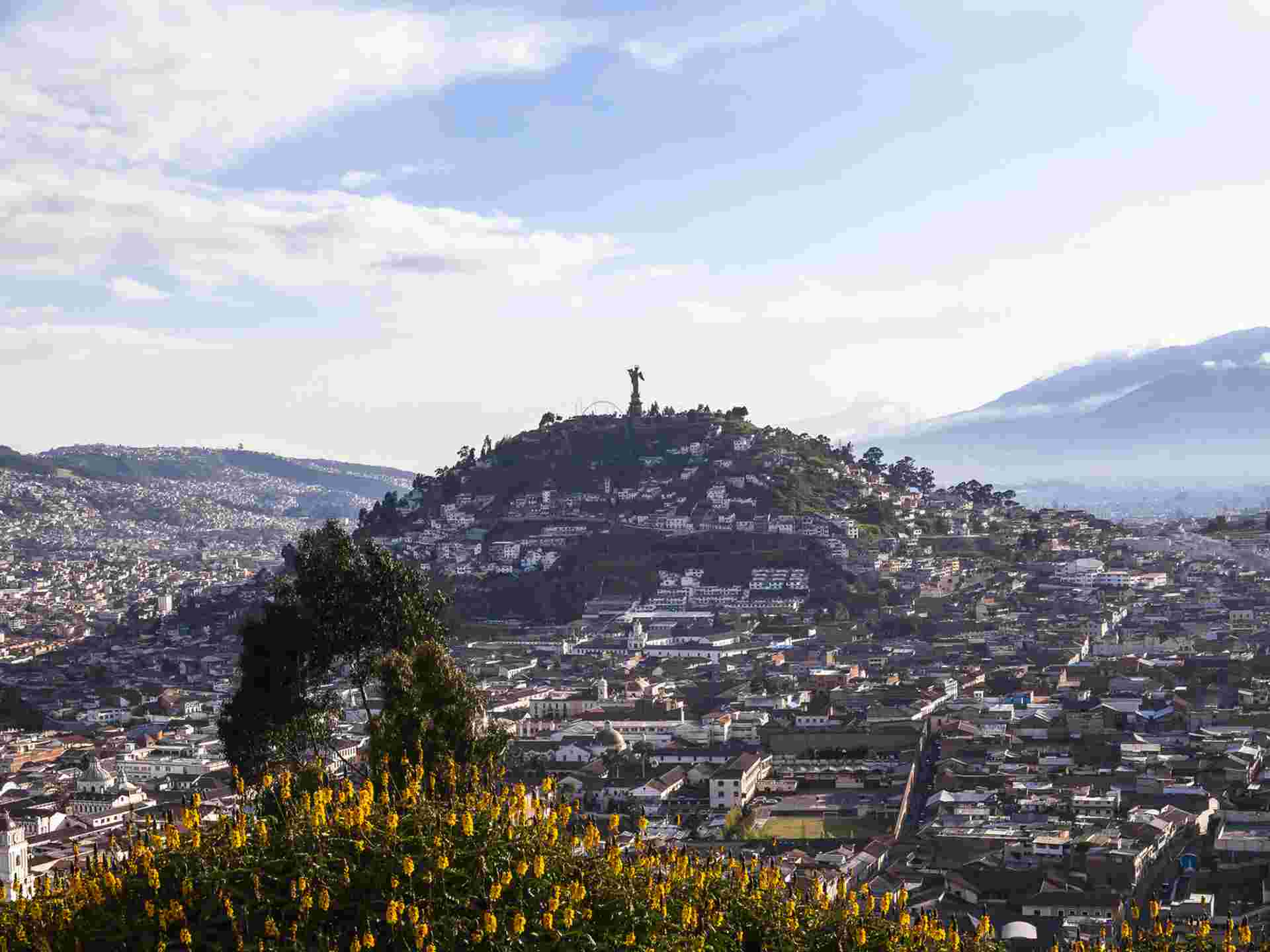 Quito & Galapagos Explorer (Superior) - 5 days