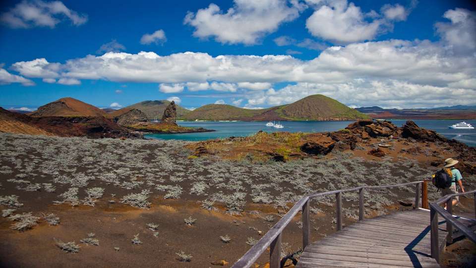 Quito And Legend Galapagos Cruise - Indus Travels - Ecuador - Image 6