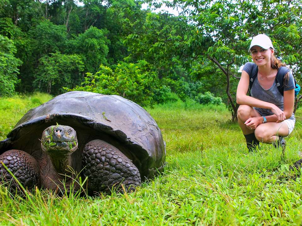 Quito, Santa Cruz & Isabela - 7 days - On The Go Tours - Ecuador - Image 1