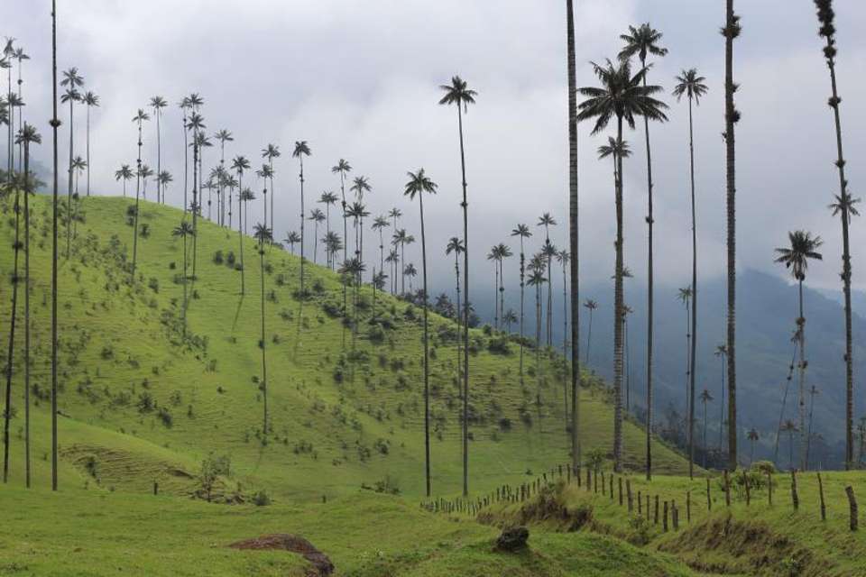 QUITO to CARTAGENA (21 days) Colombian Adventure - Oasis Overland - Ecuador - Image 3