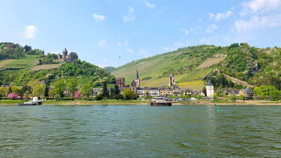 Radiant Rhine - undefined - Image 8
