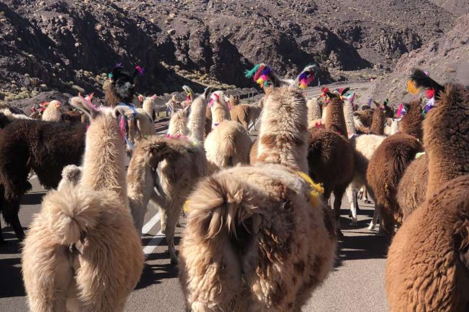 Rainbow Valley and Yerbas Buenas in San Pedro de Atacama - Tangol Tours - Chile - Image 3